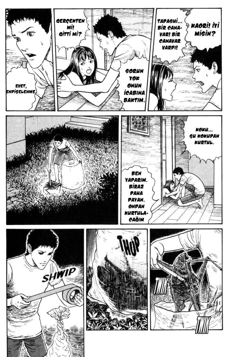 GYO Ch. 2 第5页