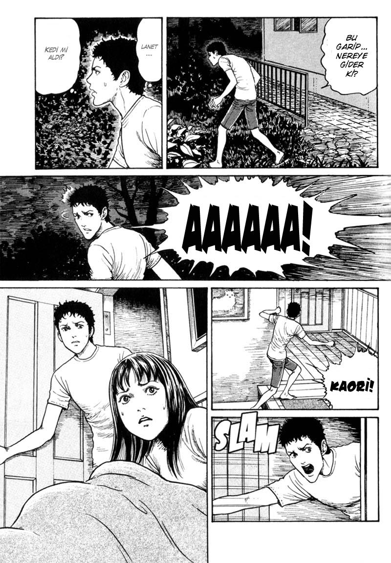 GYO Ch. 2 第10页