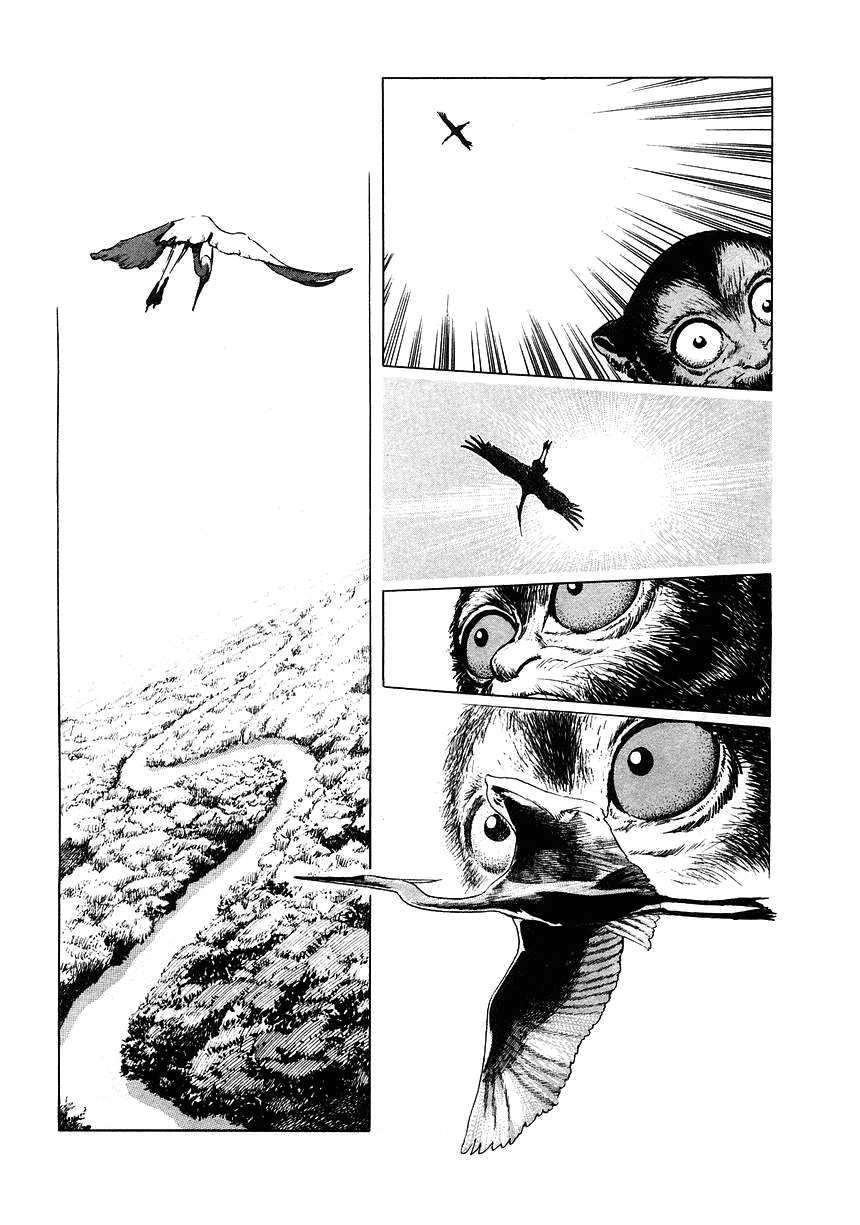 2001 Nights Noche 1 - Nuestros grandes ancestros 第16页