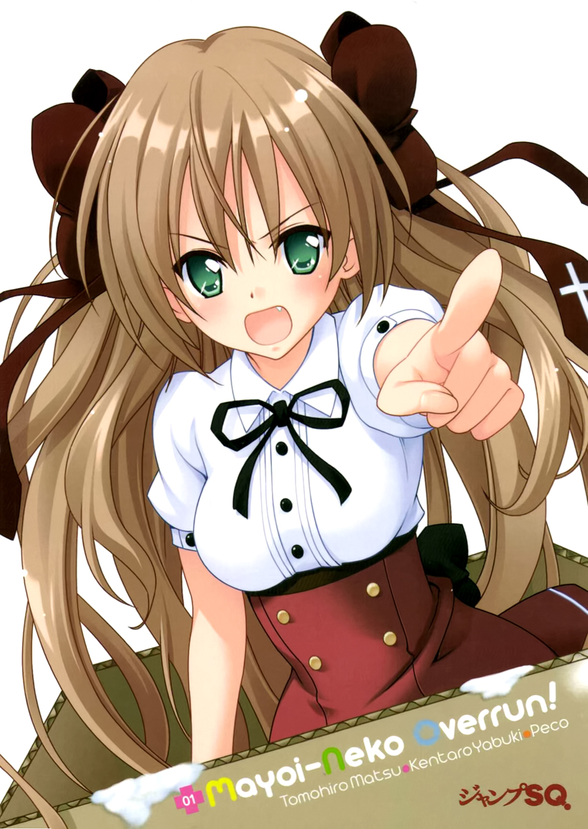Mayoi Neko Overrun! It's Not Like I've Asked to Be Taken In!! 第14页