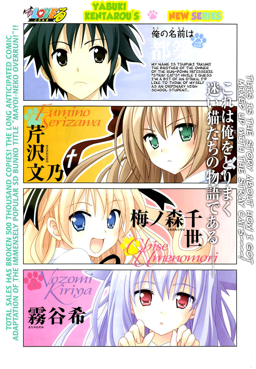 Mayoi Neko Overrun! It's Not Like I've Asked to Be Taken In!! 第18页