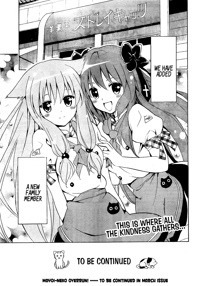 Mayoi Neko Overrun! It's Not Like I've Asked to Be Taken In!! 第78页