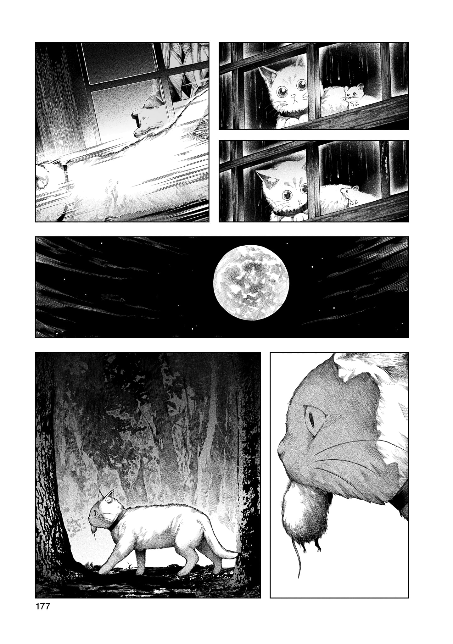 Housekishou no Historika Azurite 第21页