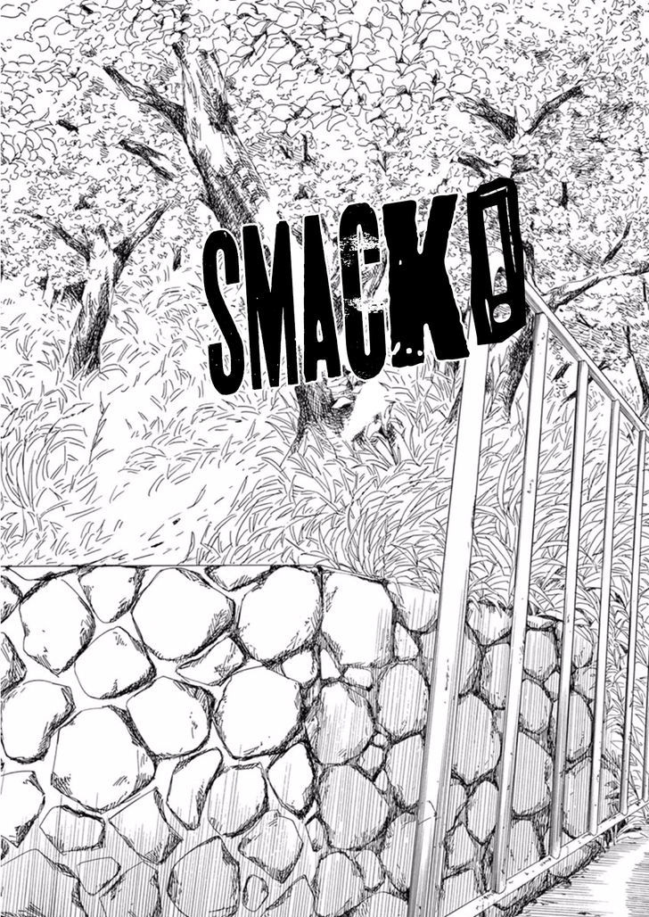 SK8R'S O Mestre 第13页