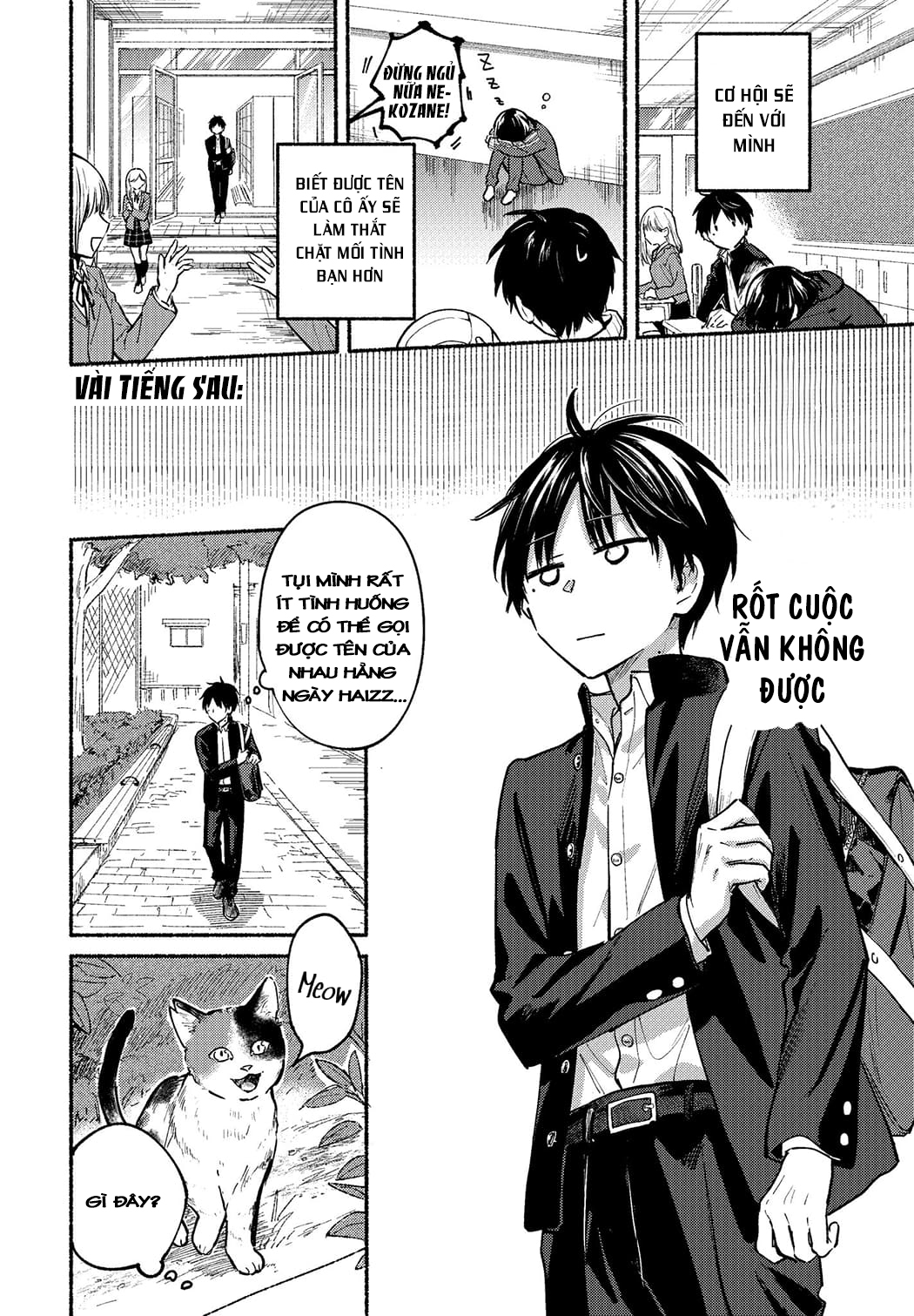 Tonari no Neko to Koi Shirazu Họ và tên? 第6页