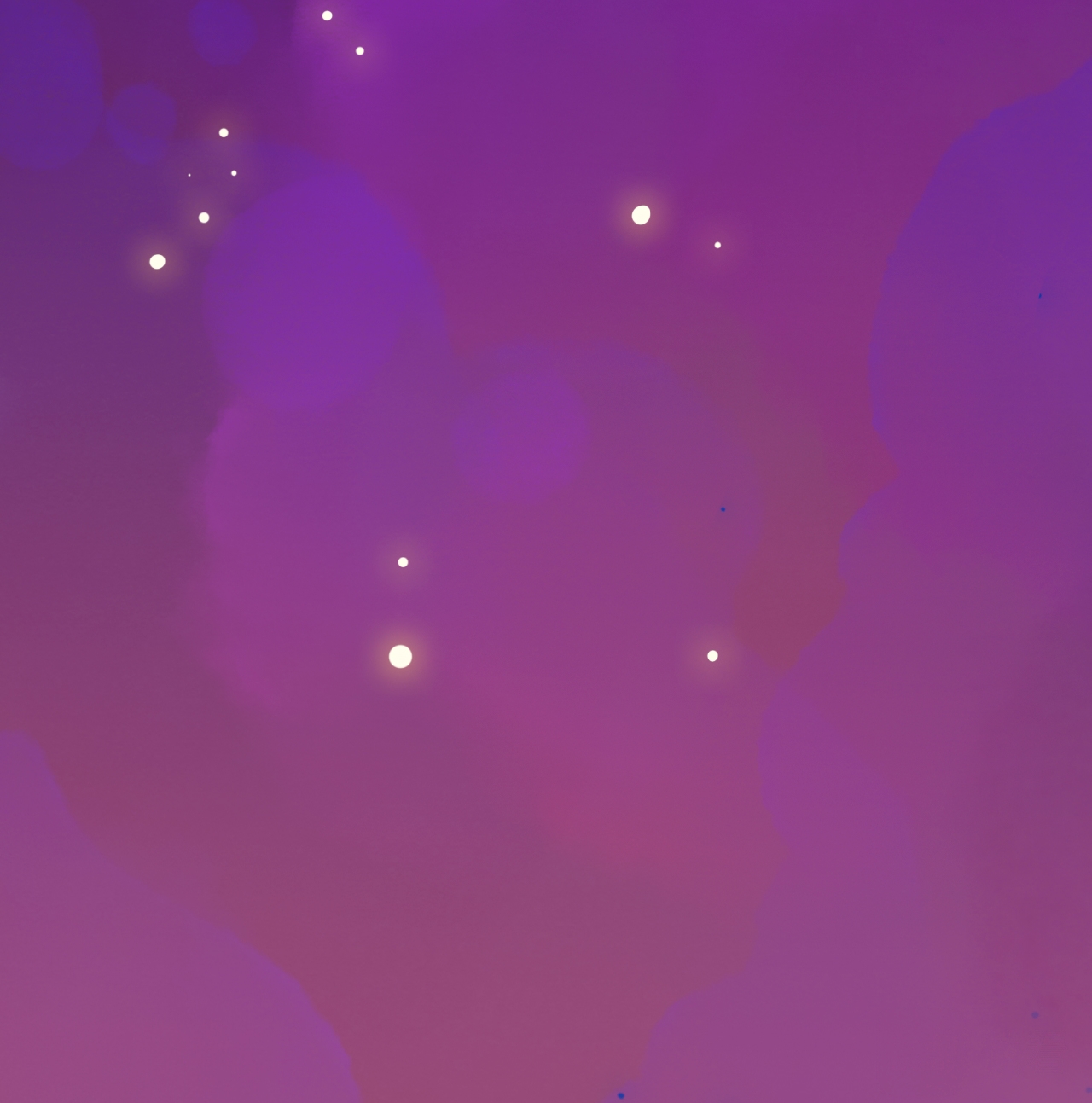 Five Cats Suddenly Enlightened 第11页