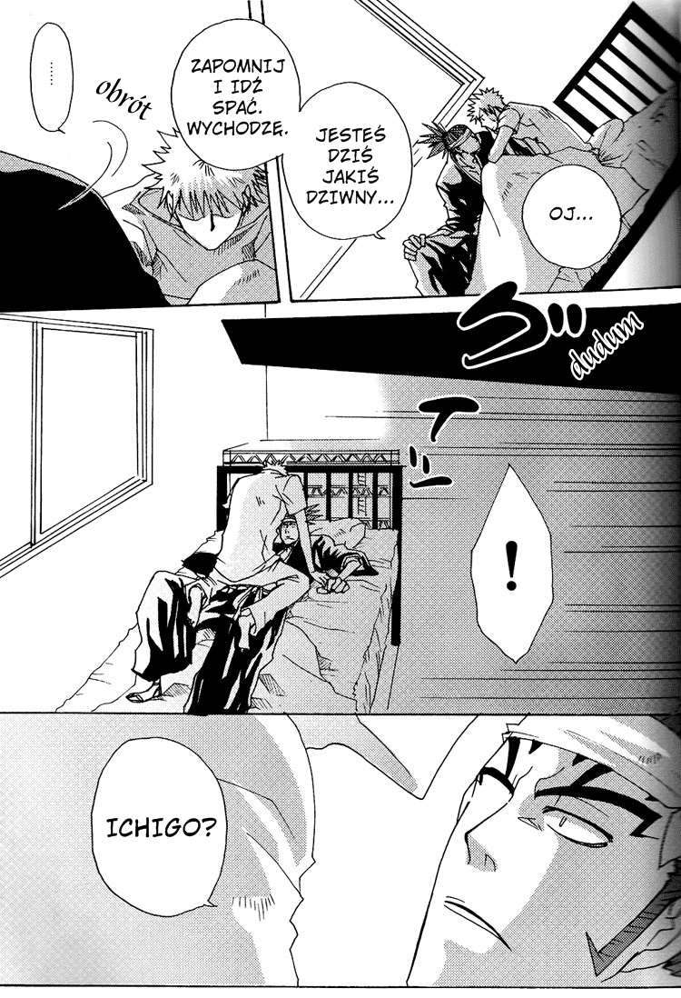 Bleach - A Long Night (Doujinshi) Oneshot 第12页