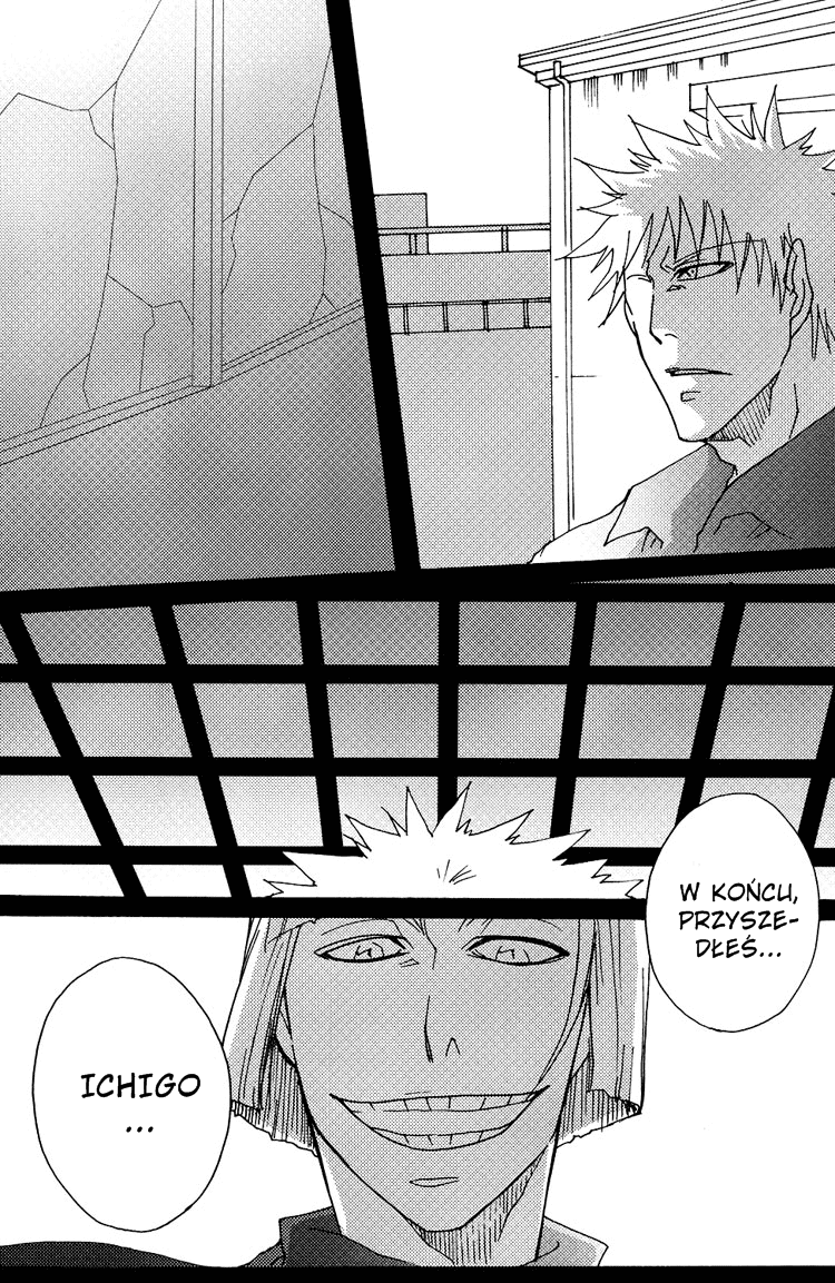 Bleach - A Long Night (Doujinshi) Oneshot 第25页