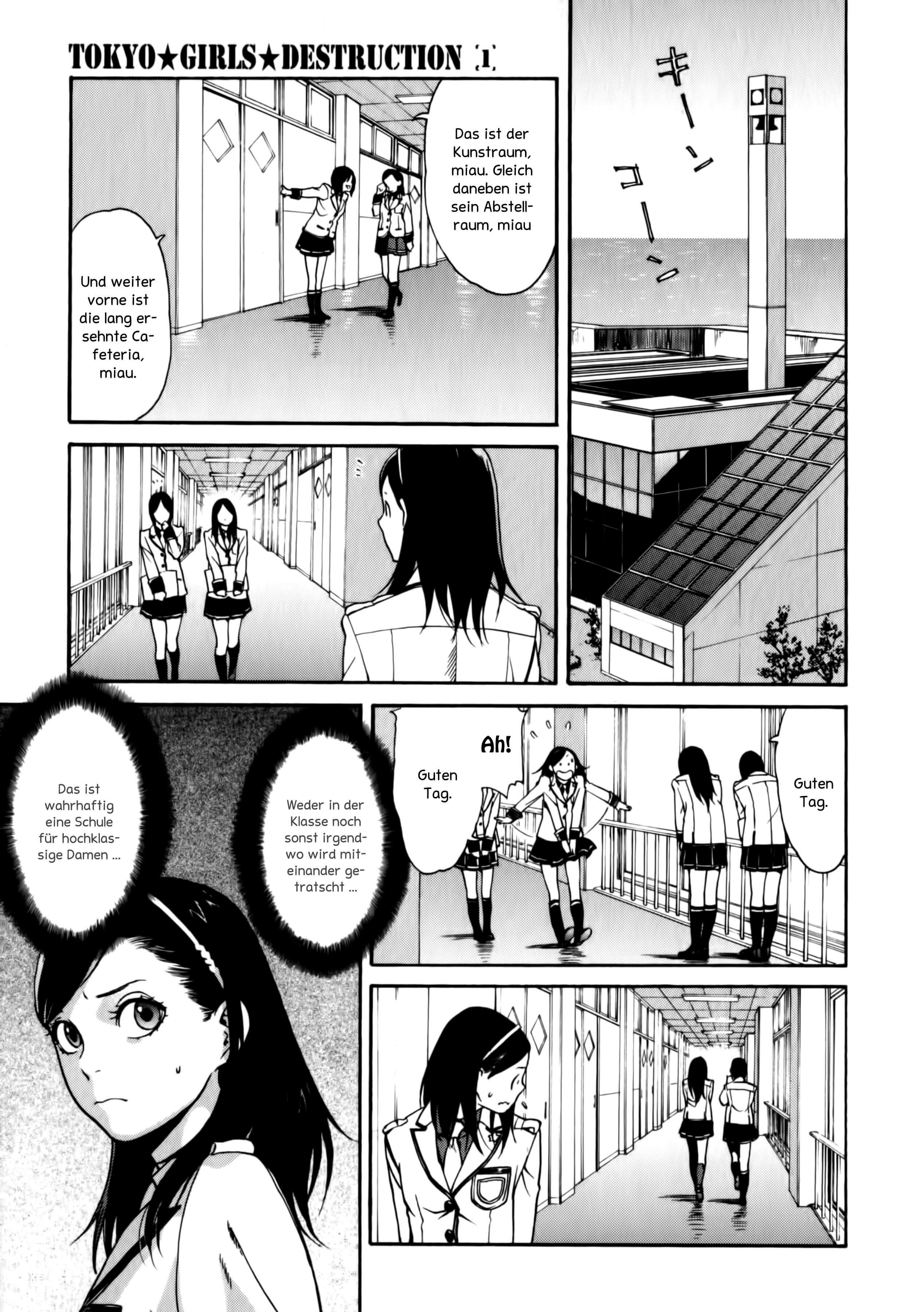 Tokyo Girls Destruction Amasus »After School« 第15页