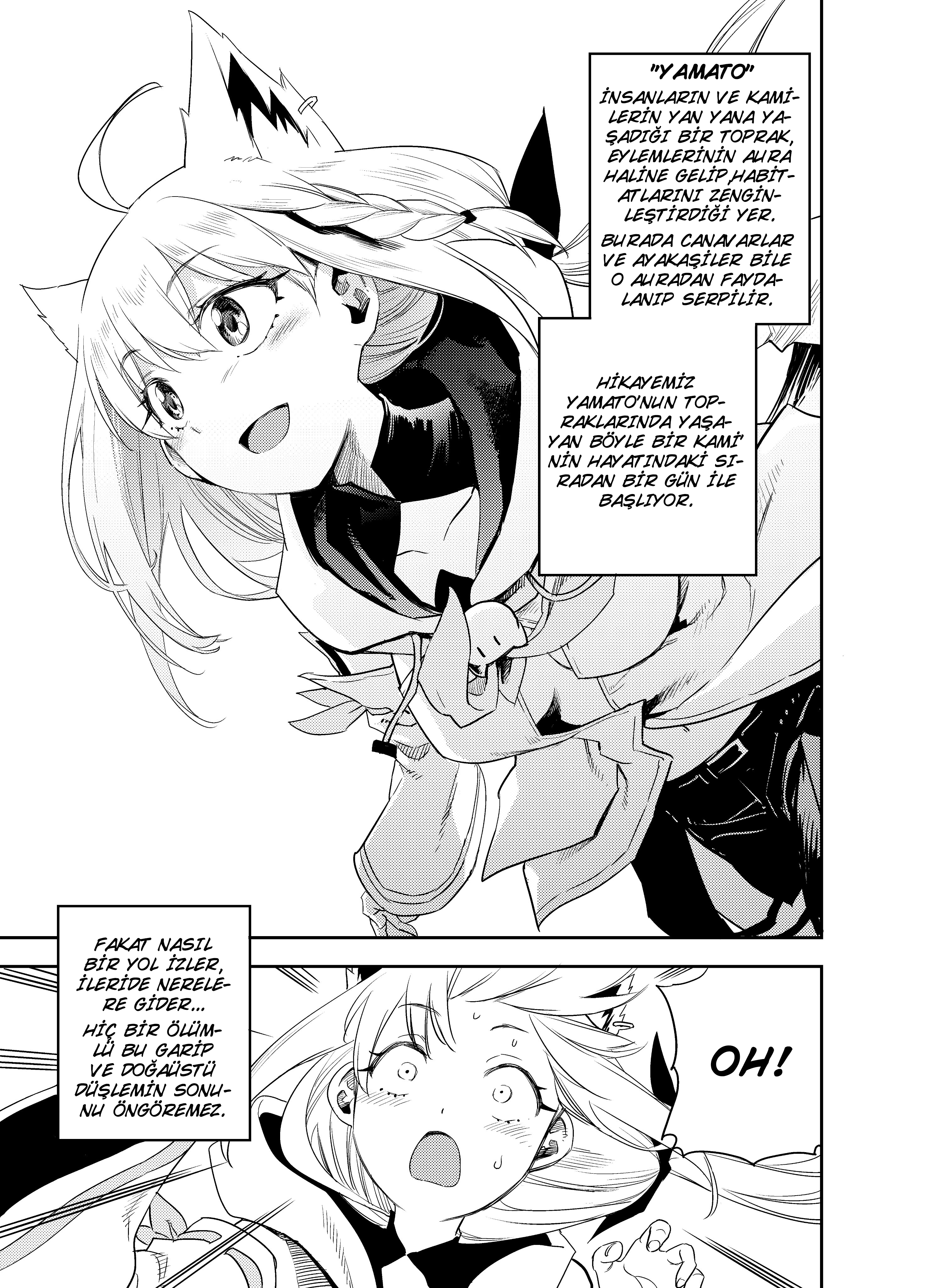 Holoearth Chronicles Side:E—Yamato Kasou Kaiitan Bir Kami'nin Vazifeleri 第12页