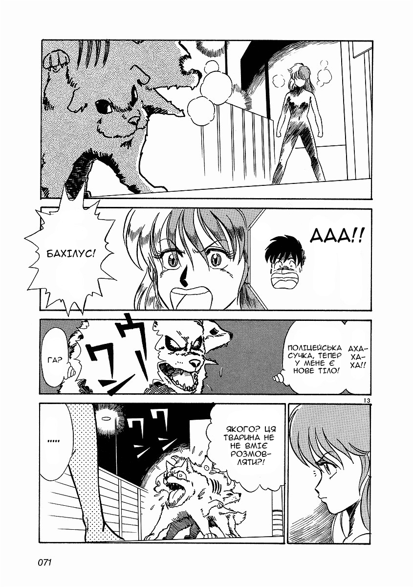 Birdy the Mighty Vol. 1 Ch. 3 第13页