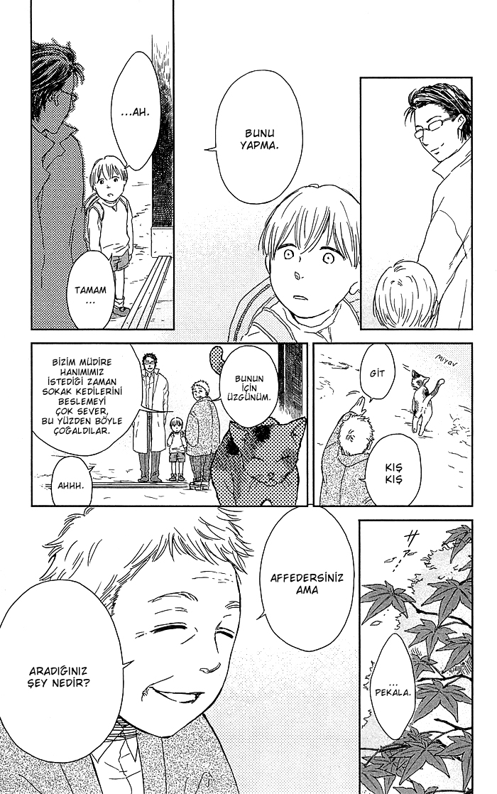 Usemono Yado Sonbahar Yaprakları 第8页