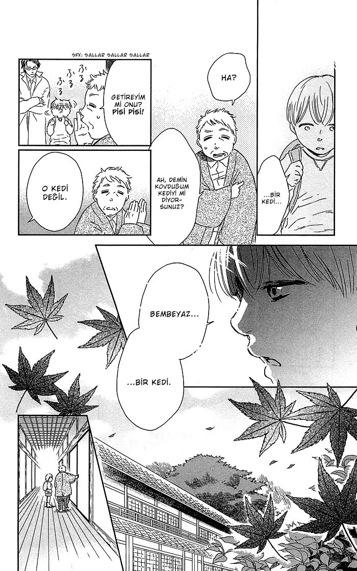 Usemono Yado Sonbahar Yaprakları 第9页