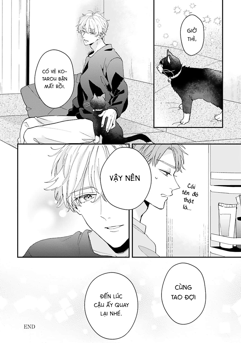 Irony Distance Oneshot 第22页