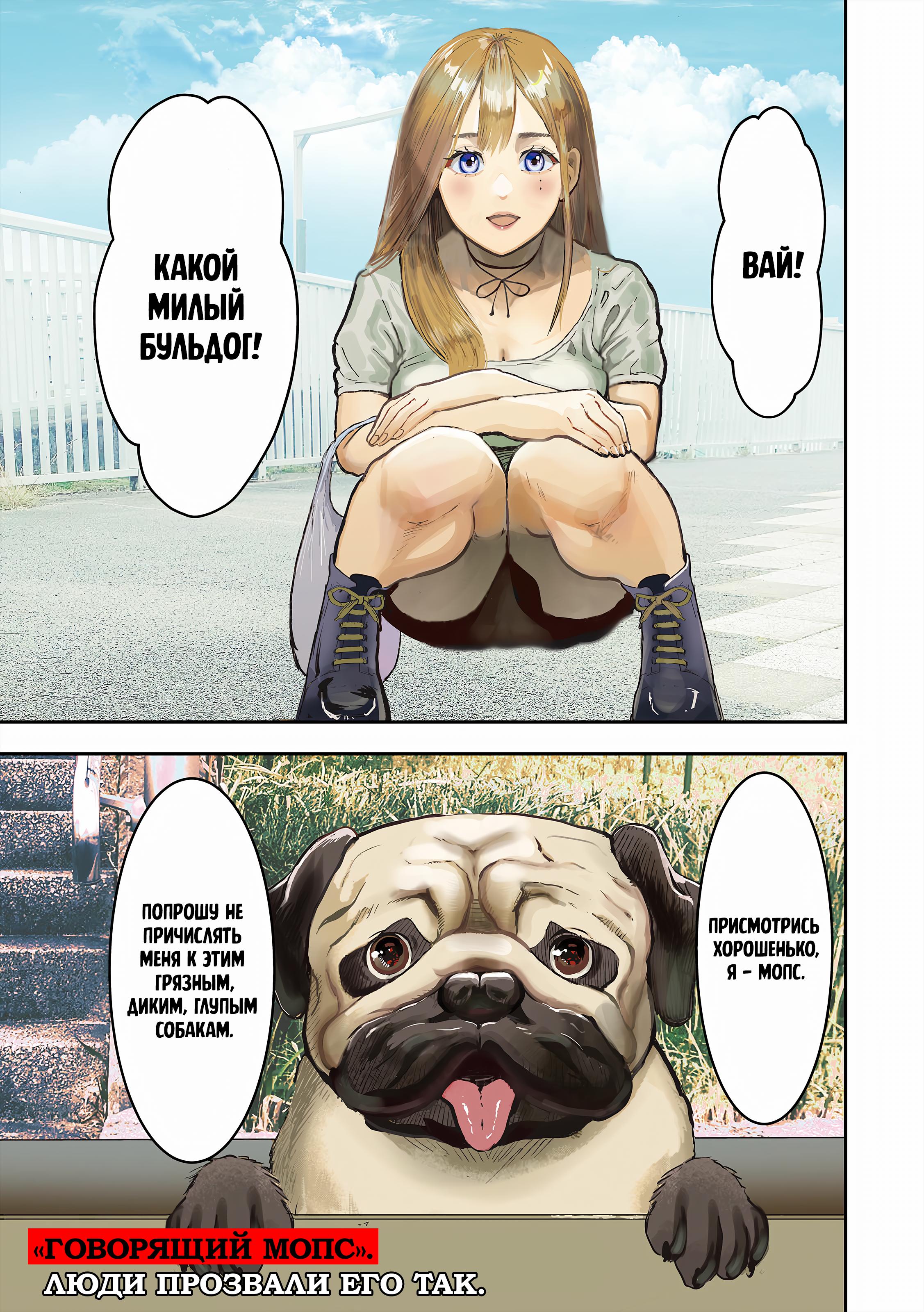 INNU 第3页