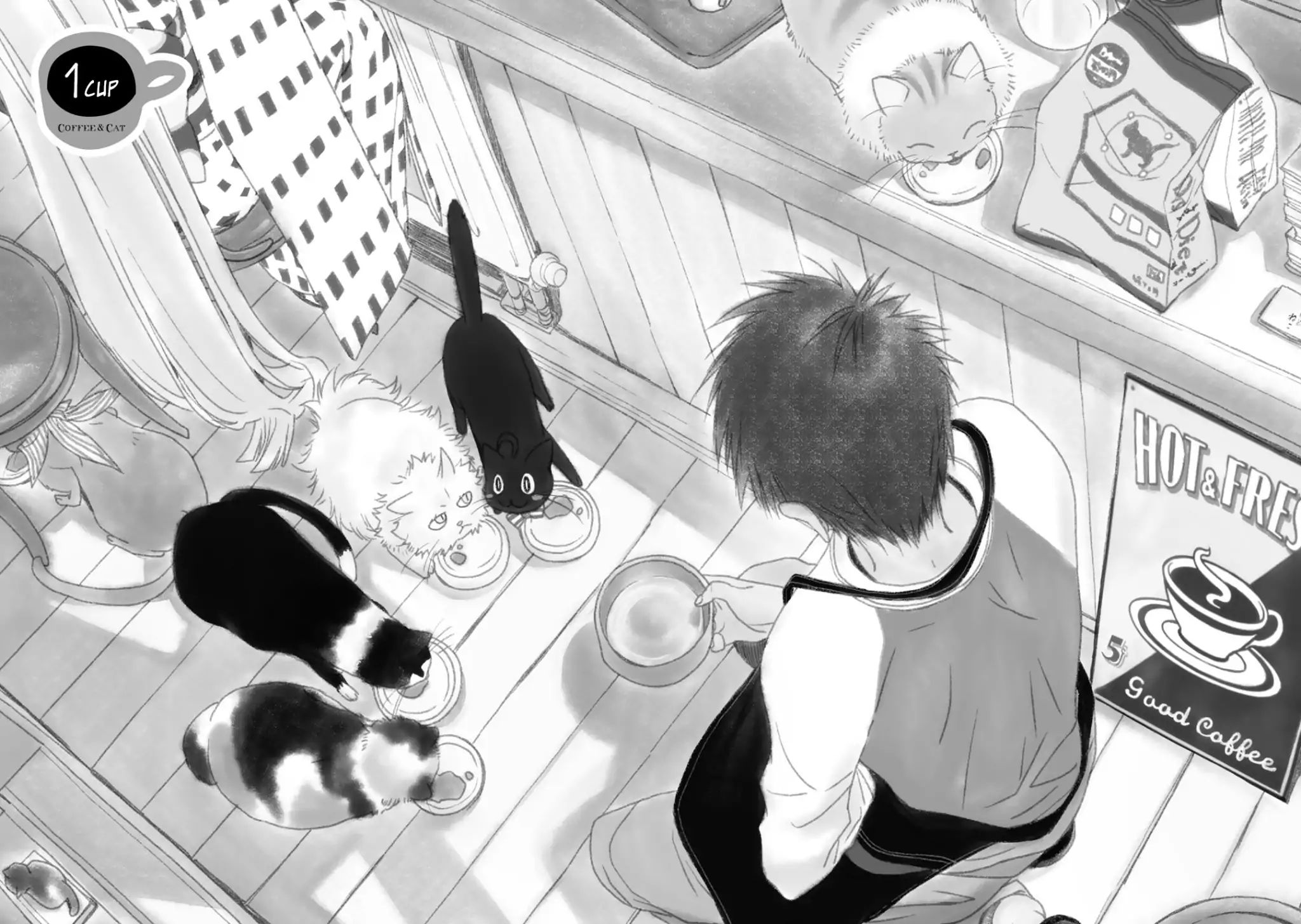 Coffee & Cat 第6页