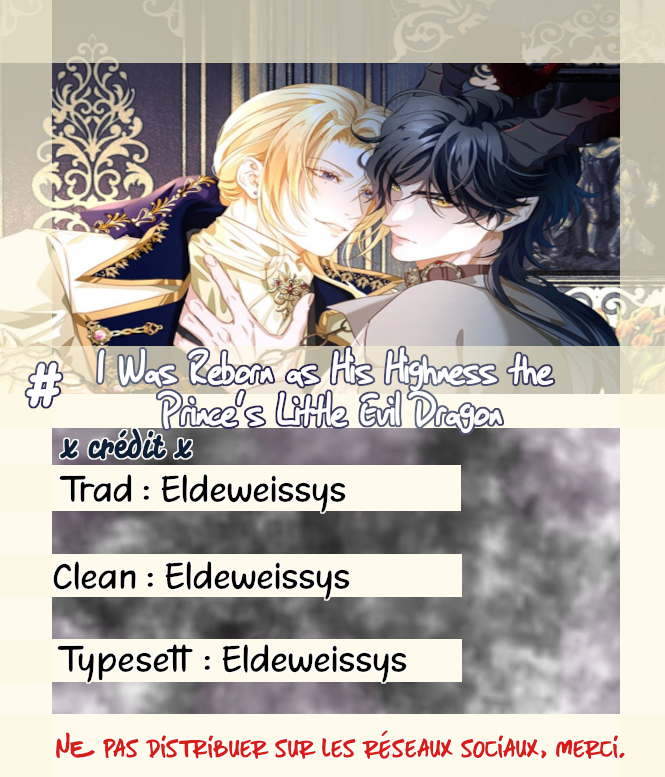 I Was Reborn as His Highness the Prince's Little Evil Dragon 第2页