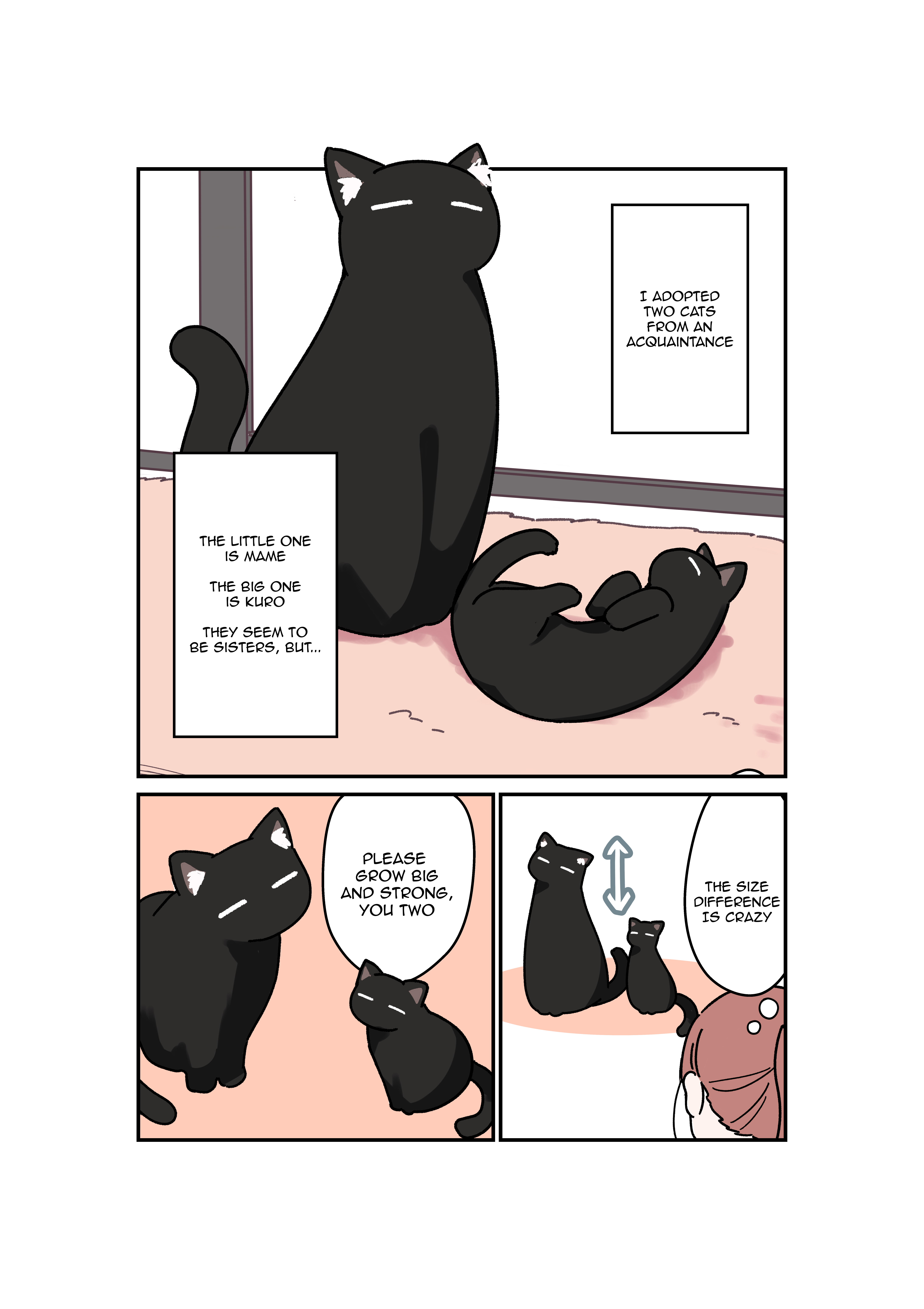 Uchi no Kuroneko, Onna no Ko My Black Cat Became a Girl 第1页