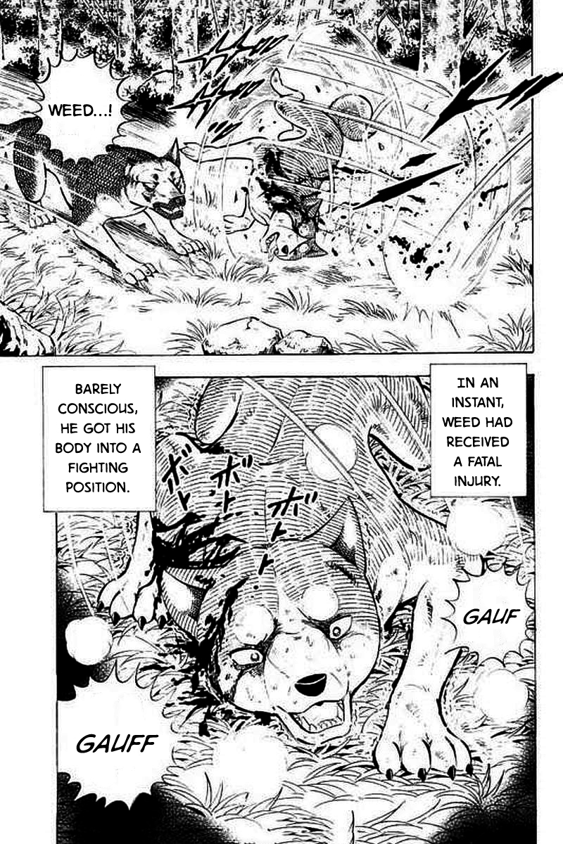 Ginga: The Last Wars The Giant Bears Attack 第4页