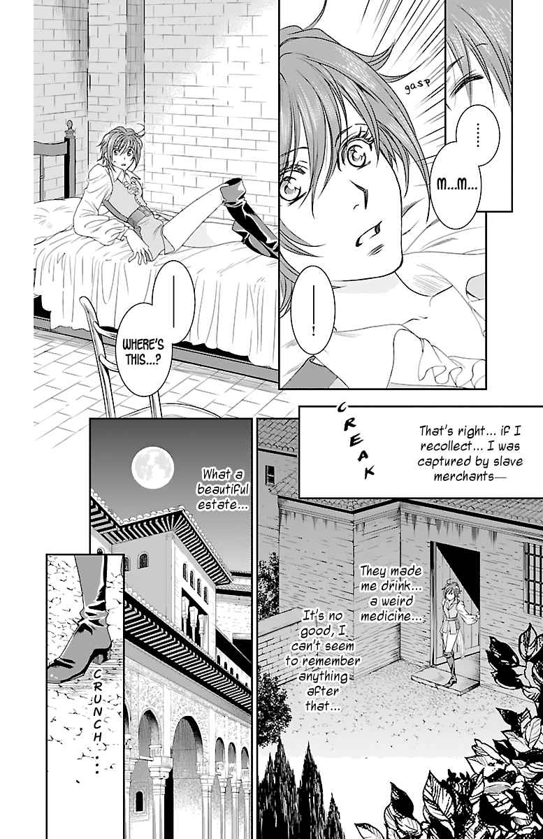 Princess Ledalia ~The Rose Pirate~ Chapter 3 第27页