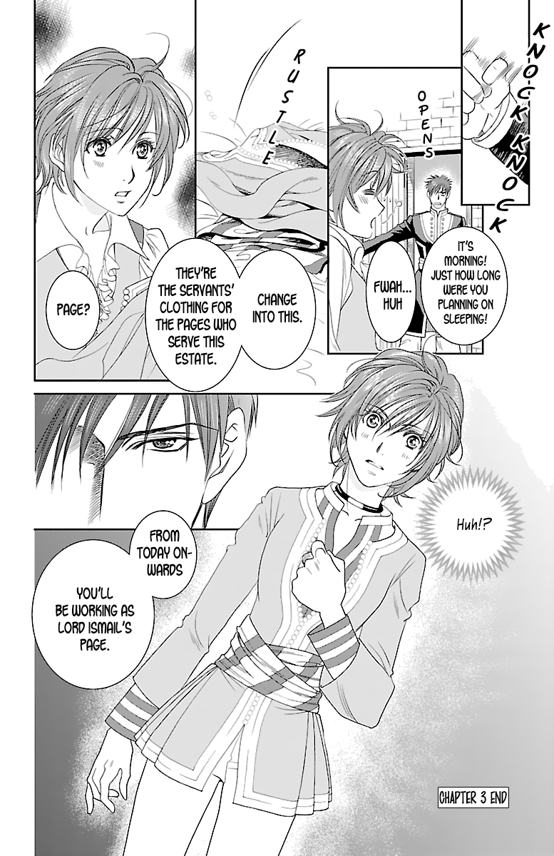 Princess Ledalia ~The Rose Pirate~ Chapter 3 第40页