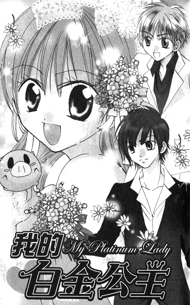 My Platinum Lady 第4页