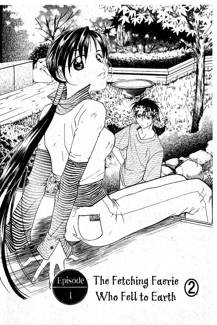 Faeries' Landing The Fetching Faresie Fell To Earth 第28页