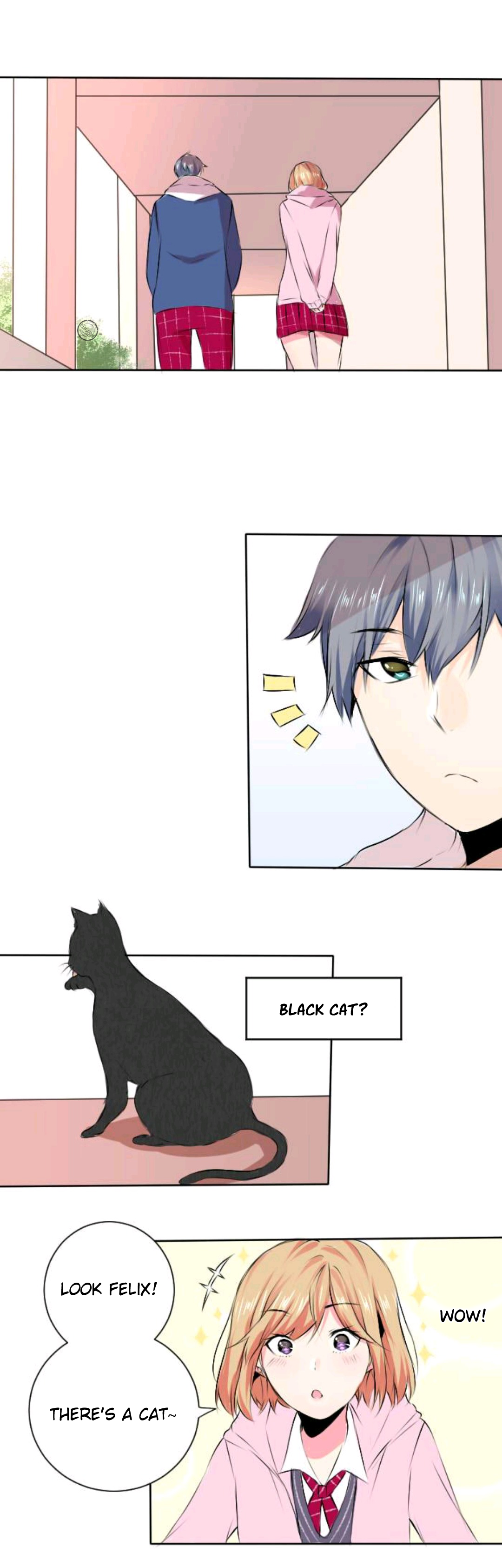 Out of Batteries Black Cat 第21页