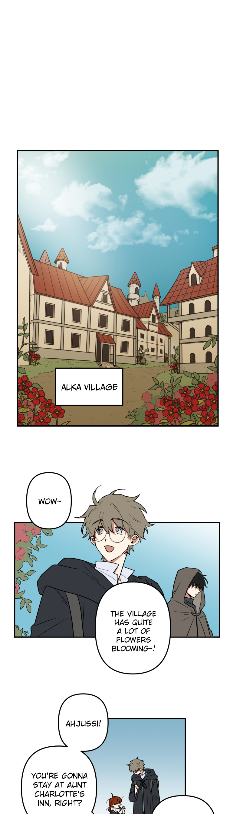 Heim's Study The Village Blooming With Red Flowers 第13页