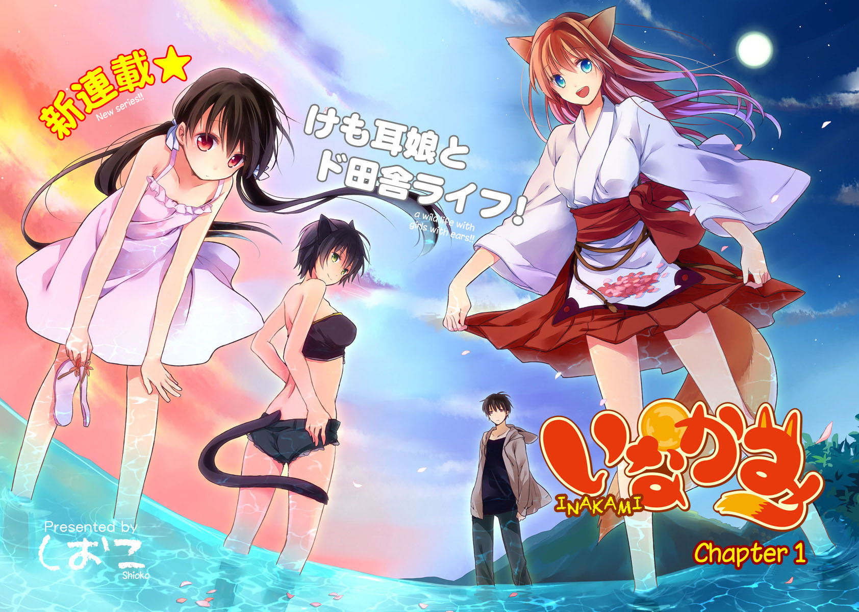 Inakami 第5页