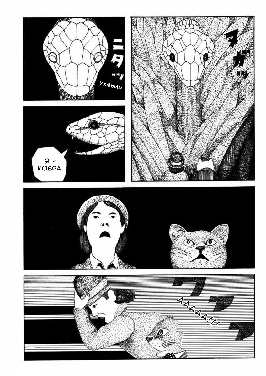 1975 Oneshot 第10页
