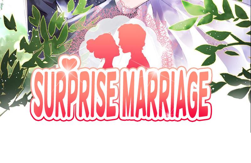 Surprise Marriage 第5页