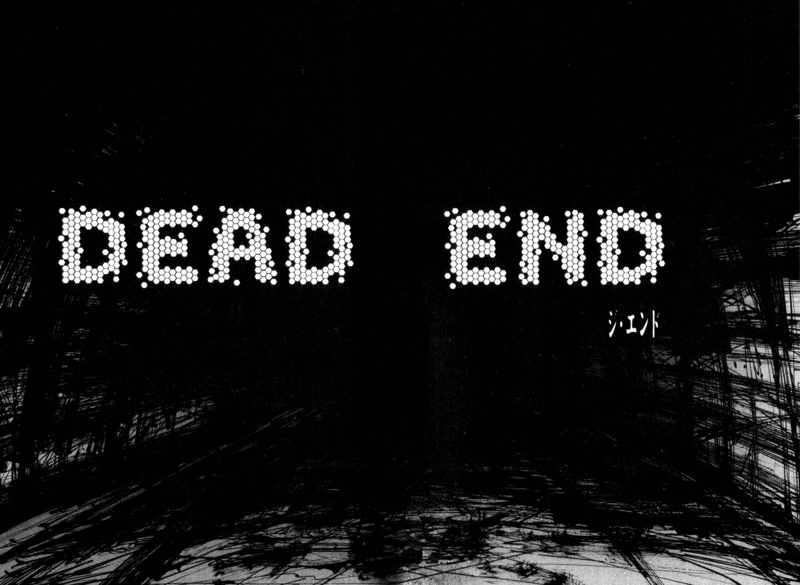 The End 第4页