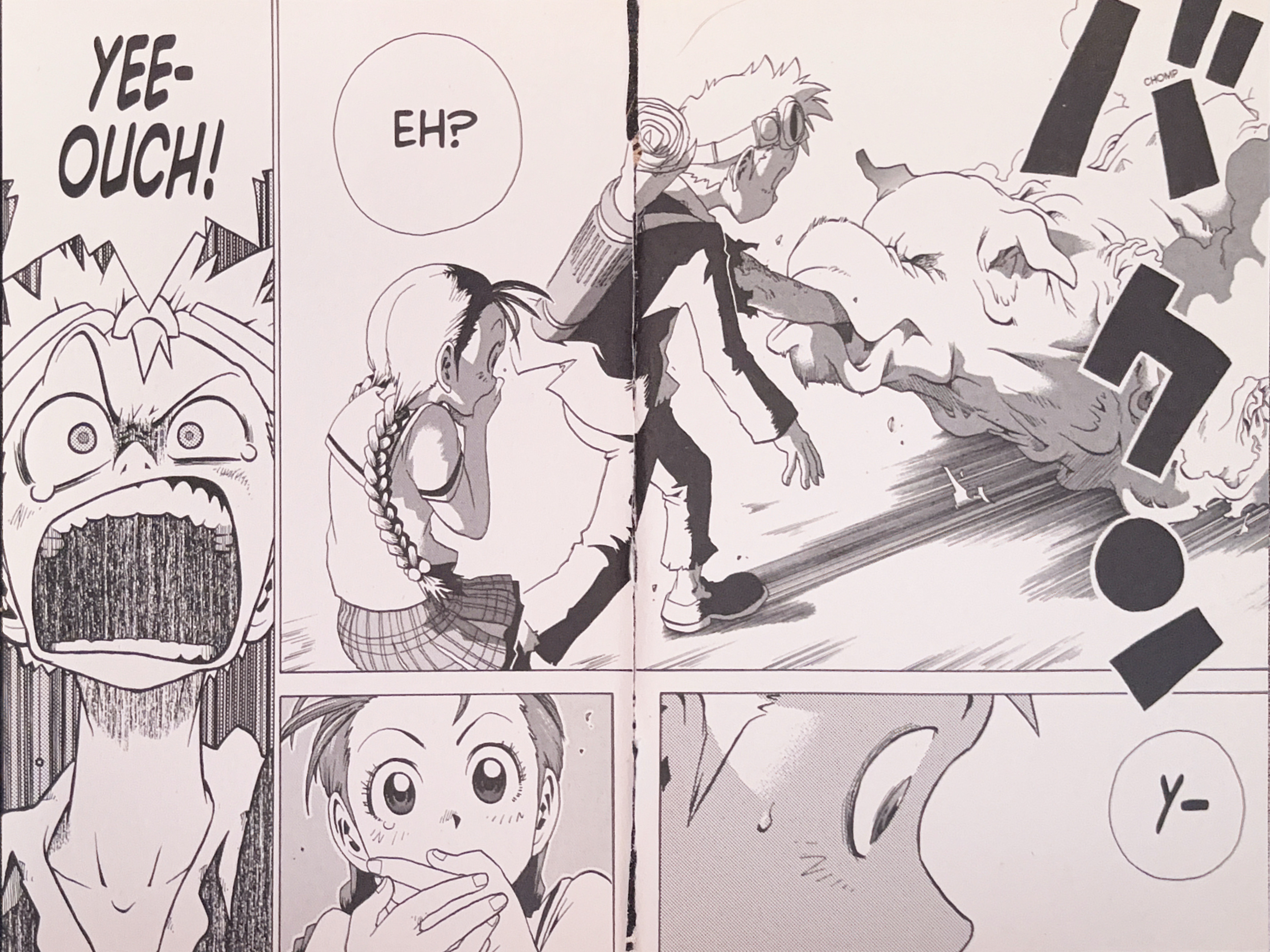 Toto! The Wonderful Adventure The Dog's True Identity 第26页