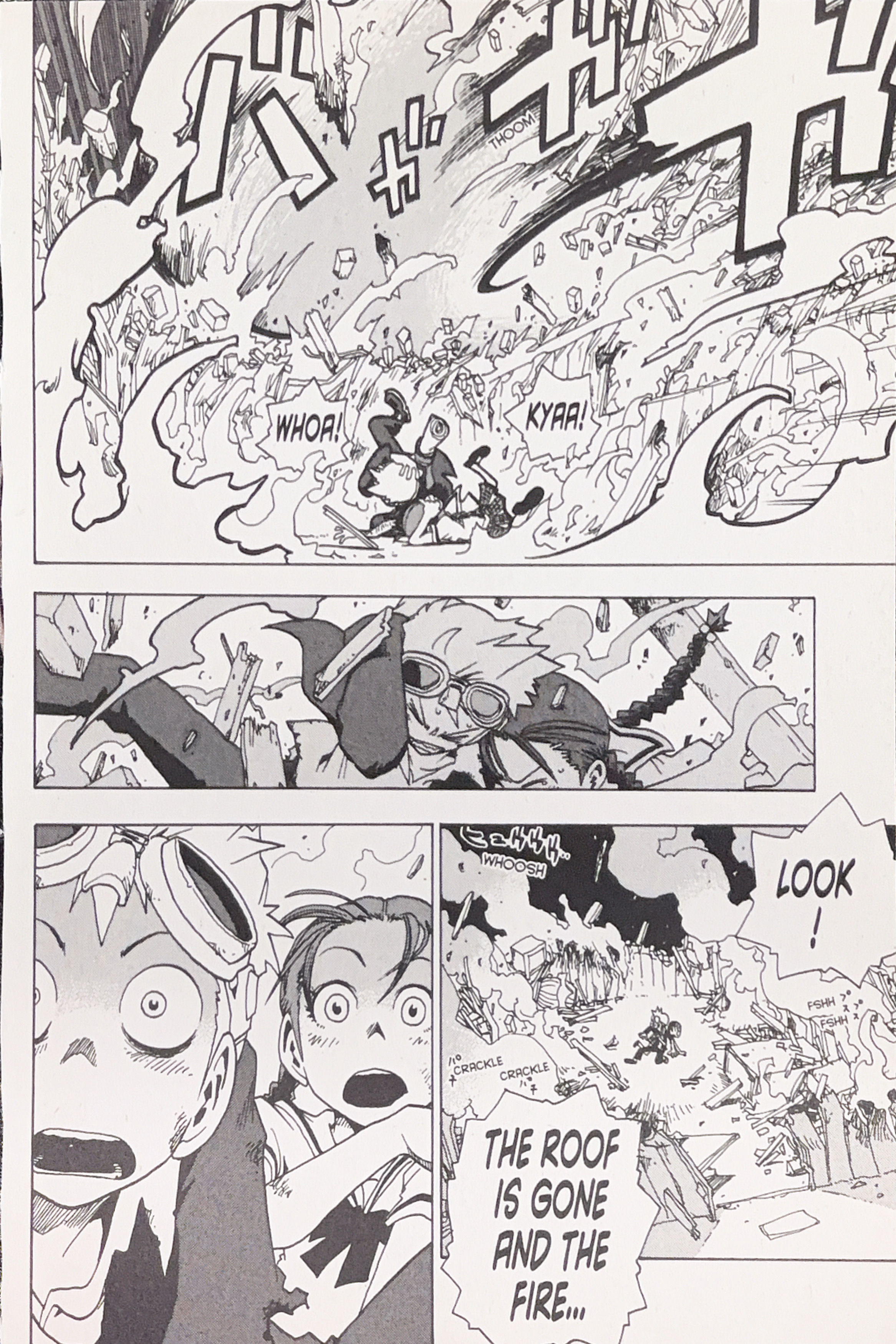 Toto! The Wonderful Adventure The Dog's True Identity 第9页