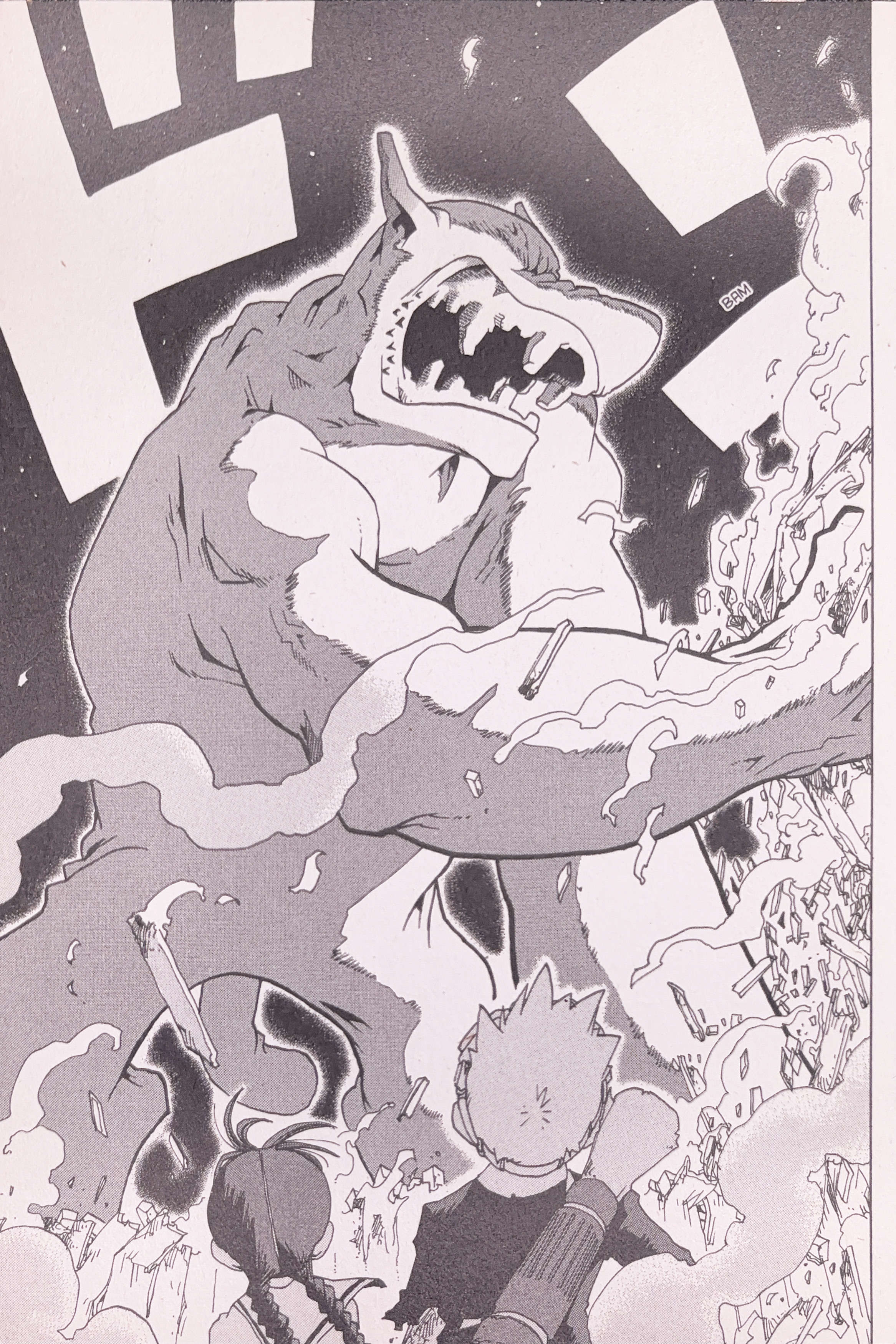 Toto! The Wonderful Adventure The Dog's True Identity 第10页