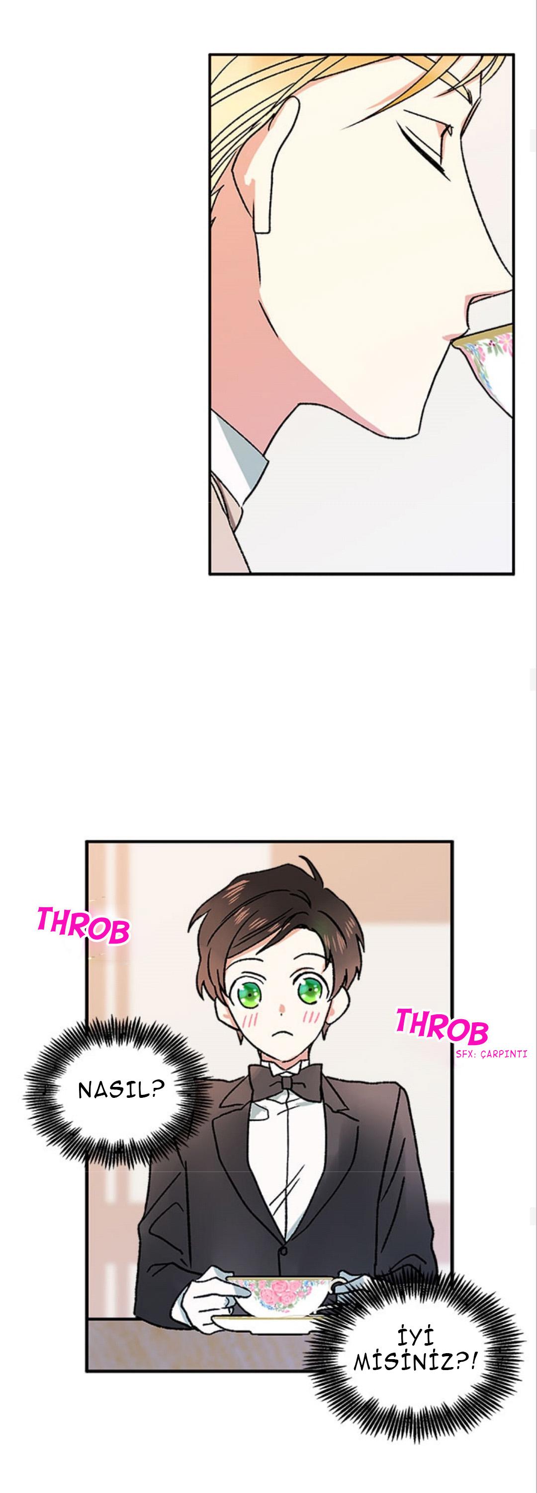 My Fair Footman Ch. 3 第14页
