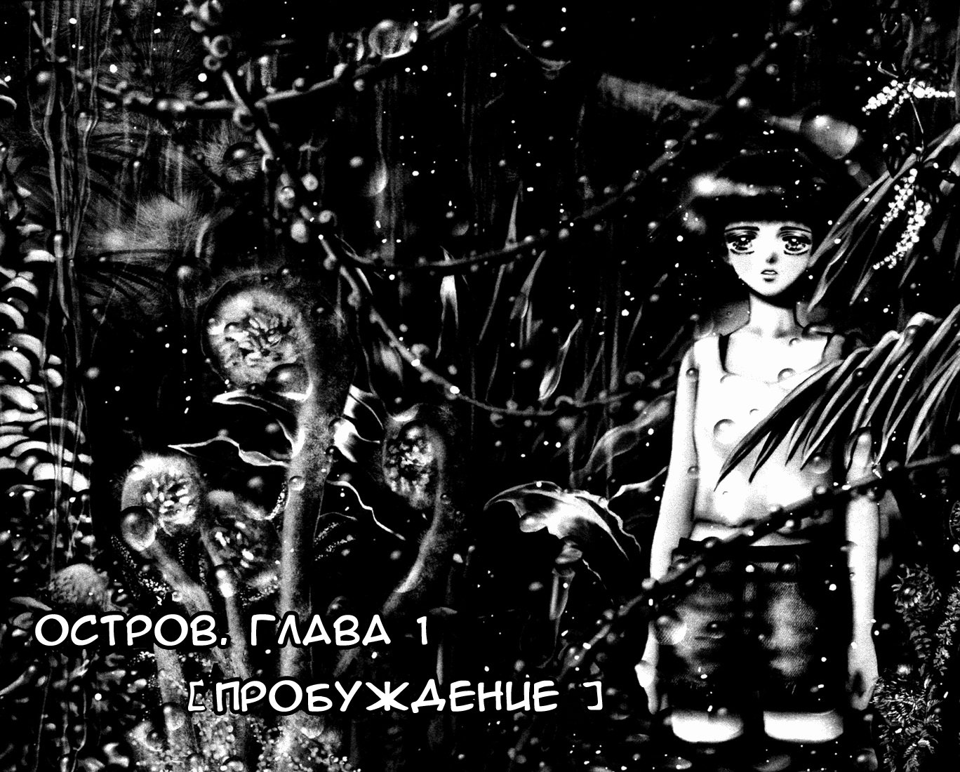 7 Seeds Пробуждение 第6页