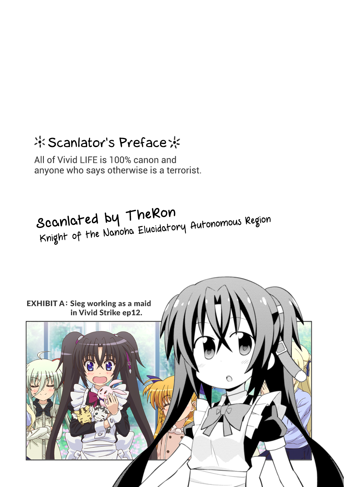 Mahou Shoujo Lyrical Nanoha Vivid Life The Top Fighters Appear! 第2页