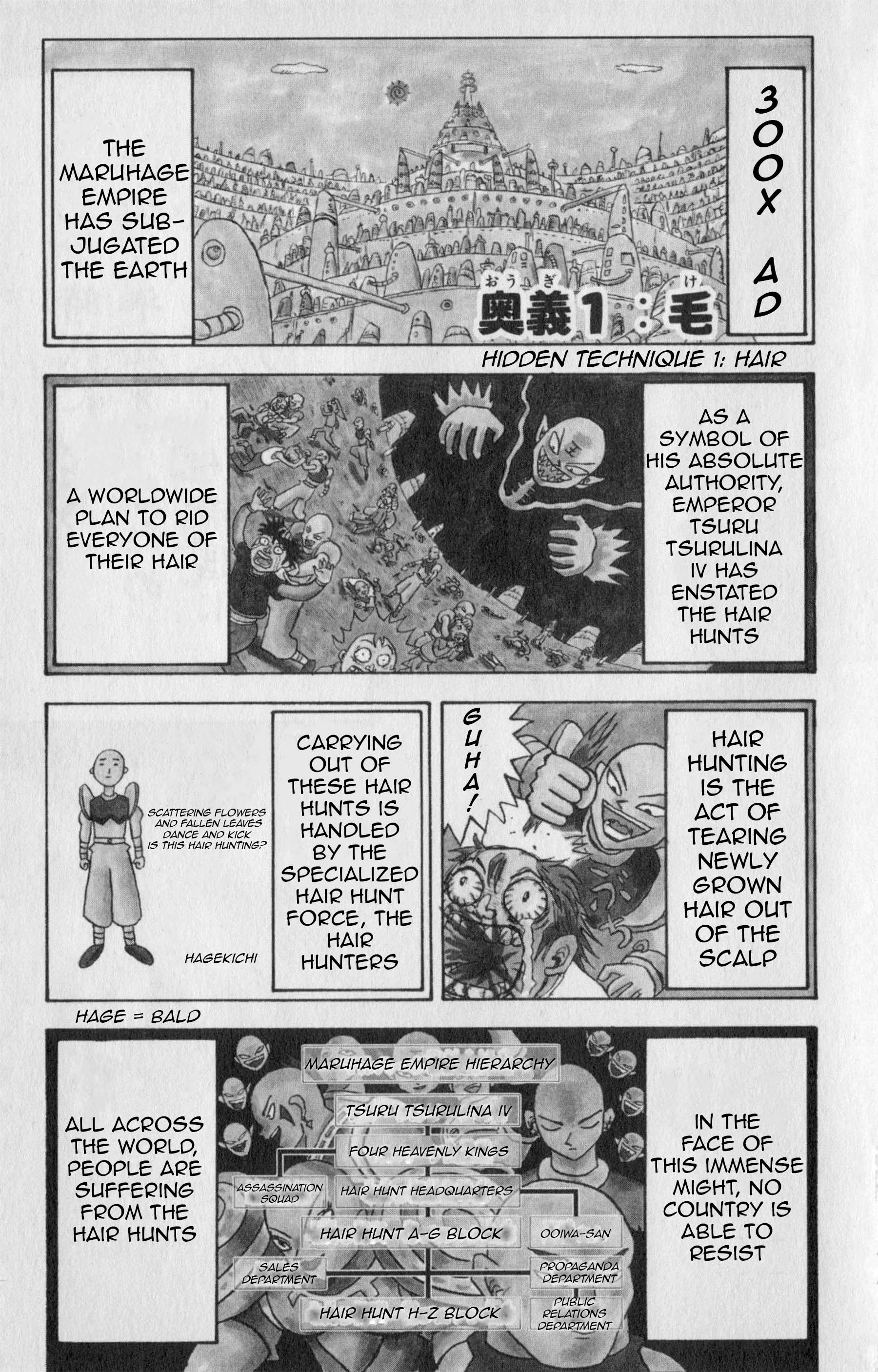 Bobobo-bo Bo-bobo Hair 第1页