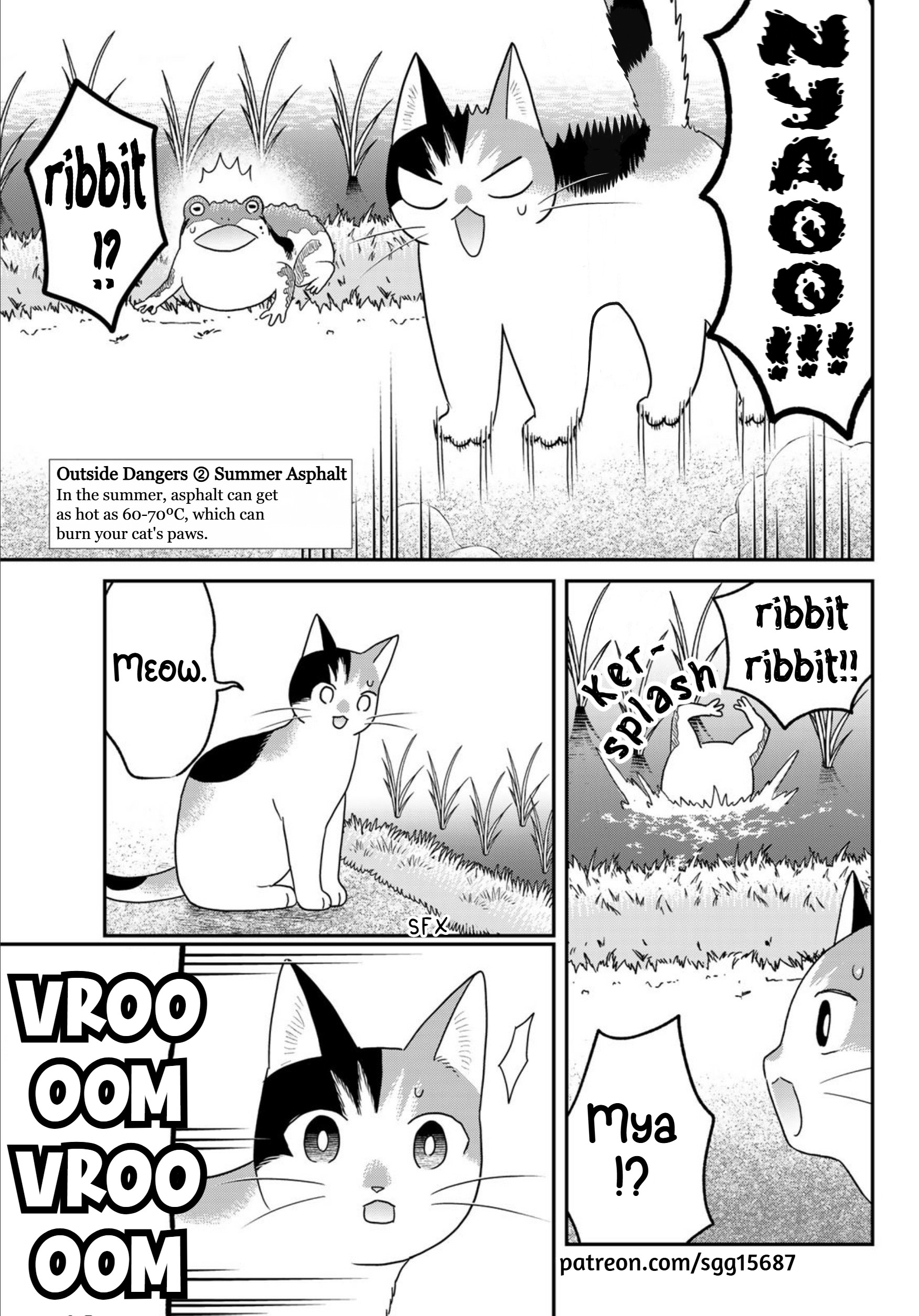 Hataraku Saibou Neko Severe Febrile Thrombocytopenia Syndrome 第5页