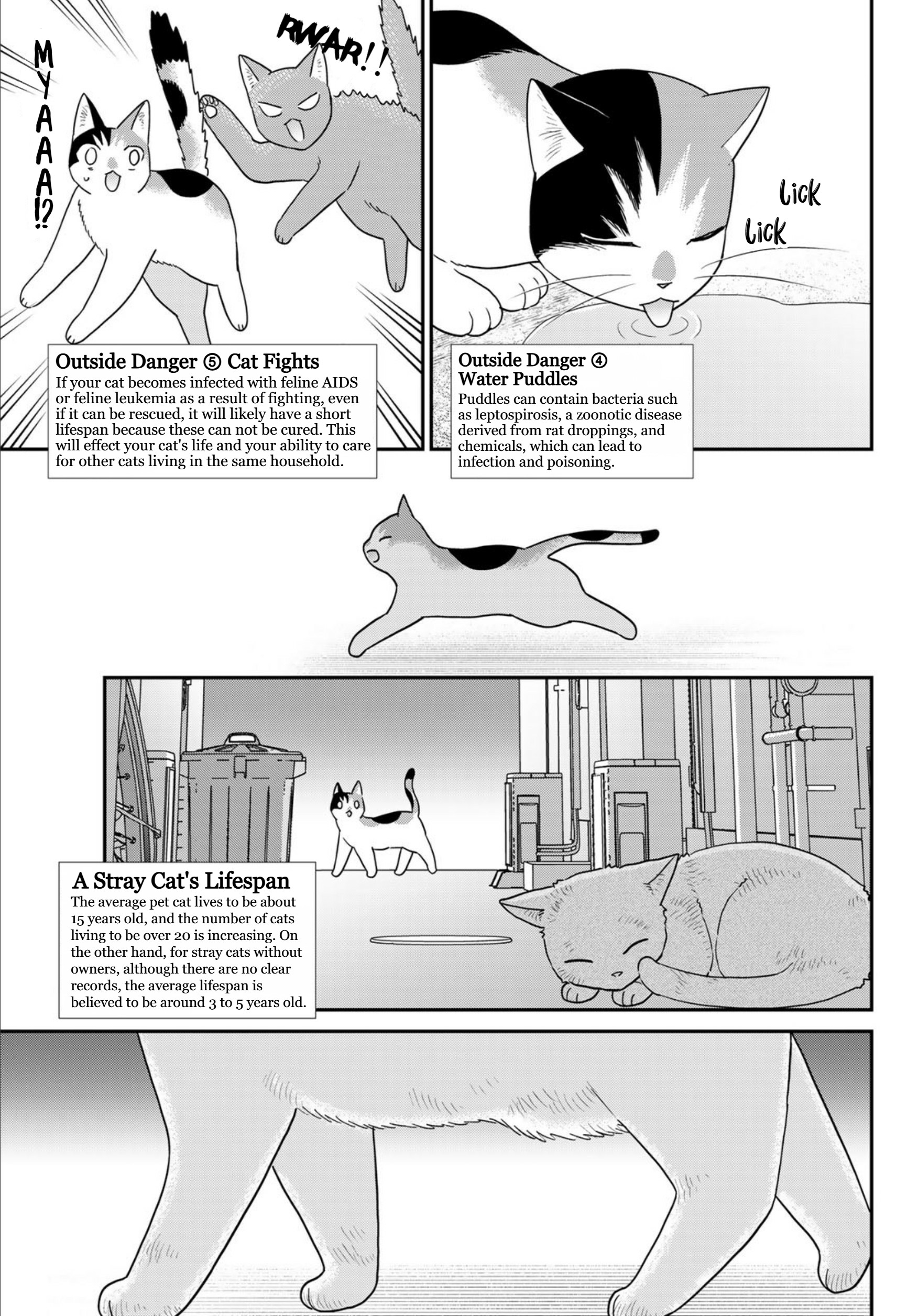 Hataraku Saibou Neko Severe Febrile Thrombocytopenia Syndrome 第7页
