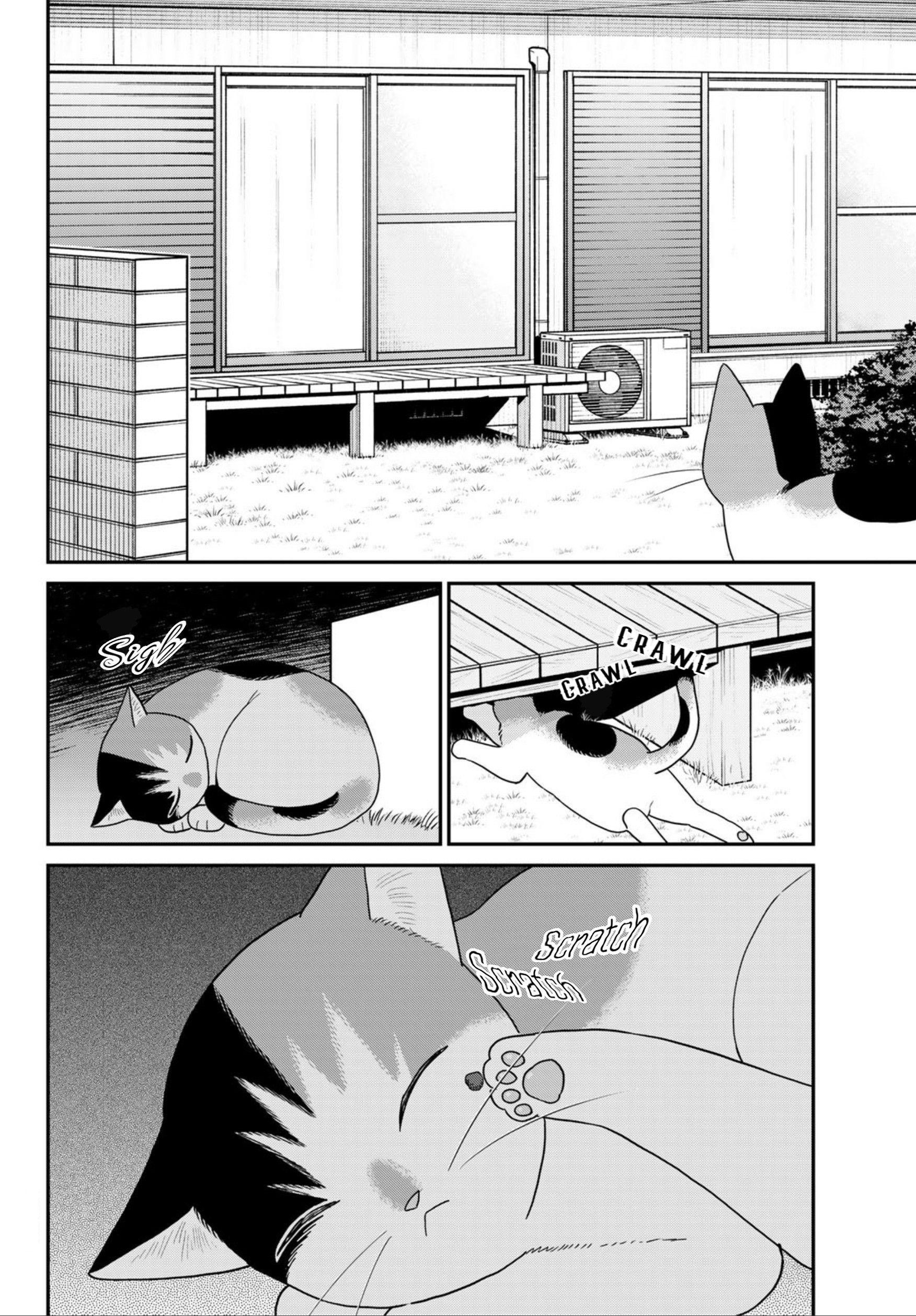 Hataraku Saibou Neko Severe Febrile Thrombocytopenia Syndrome 第8页