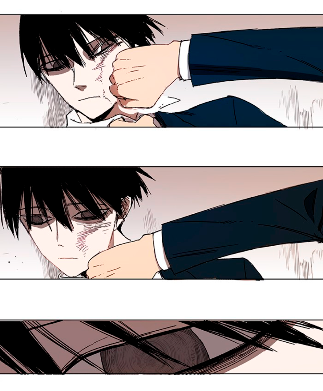 The Boxer PRESAGIO 第15页