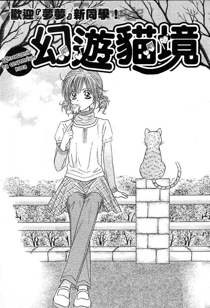 Travel To The Cats' Territory Oneshot 第1页