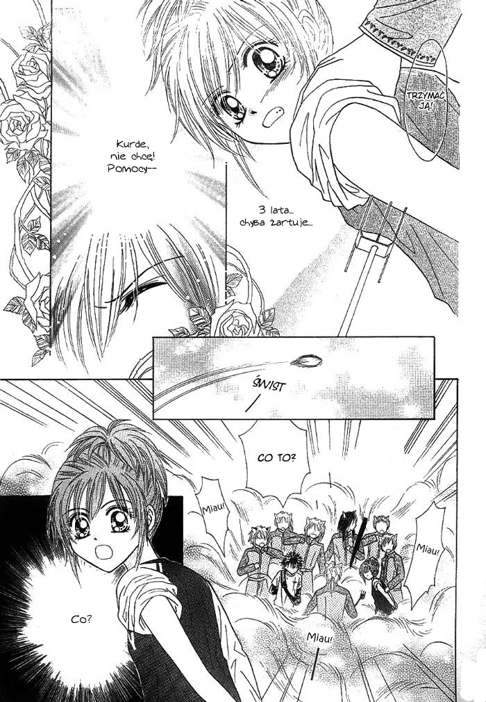 Travel To The Cats' Territory Oneshot 第15页