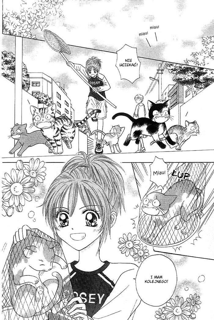 Travel To The Cats' Territory Oneshot 第3页