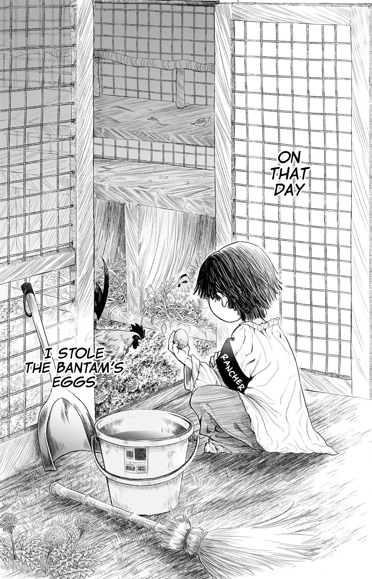 Second Grade Cooking 第2页