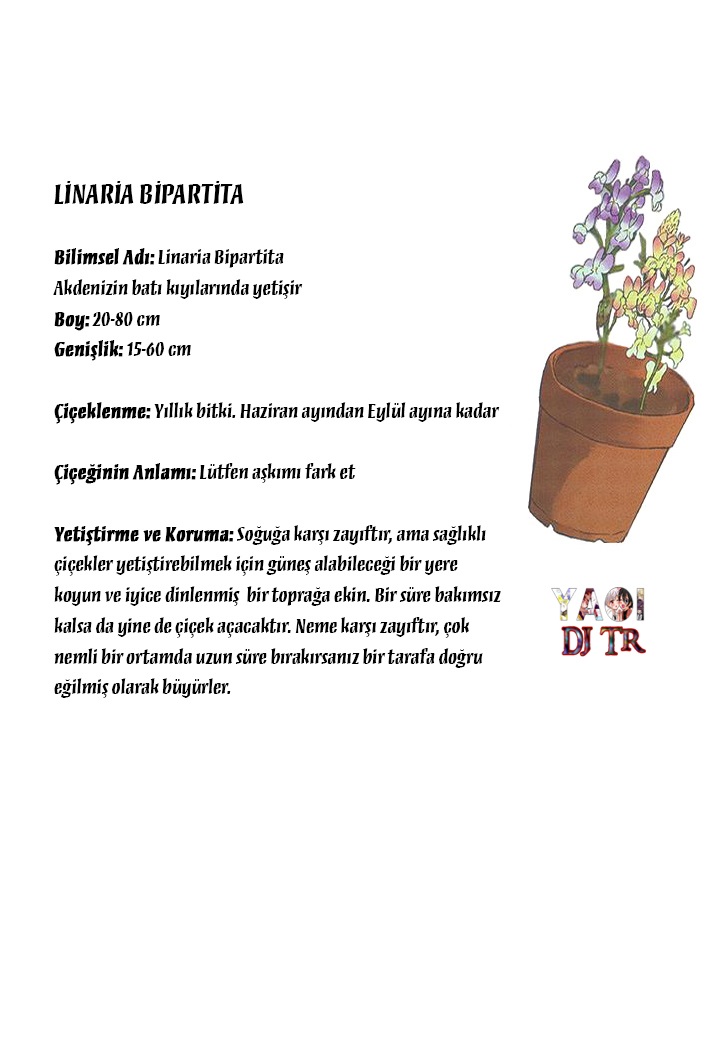 Renai Rubi no Tadashii Furikata Askı yazmanın doğru yolu Son kısım 第45页