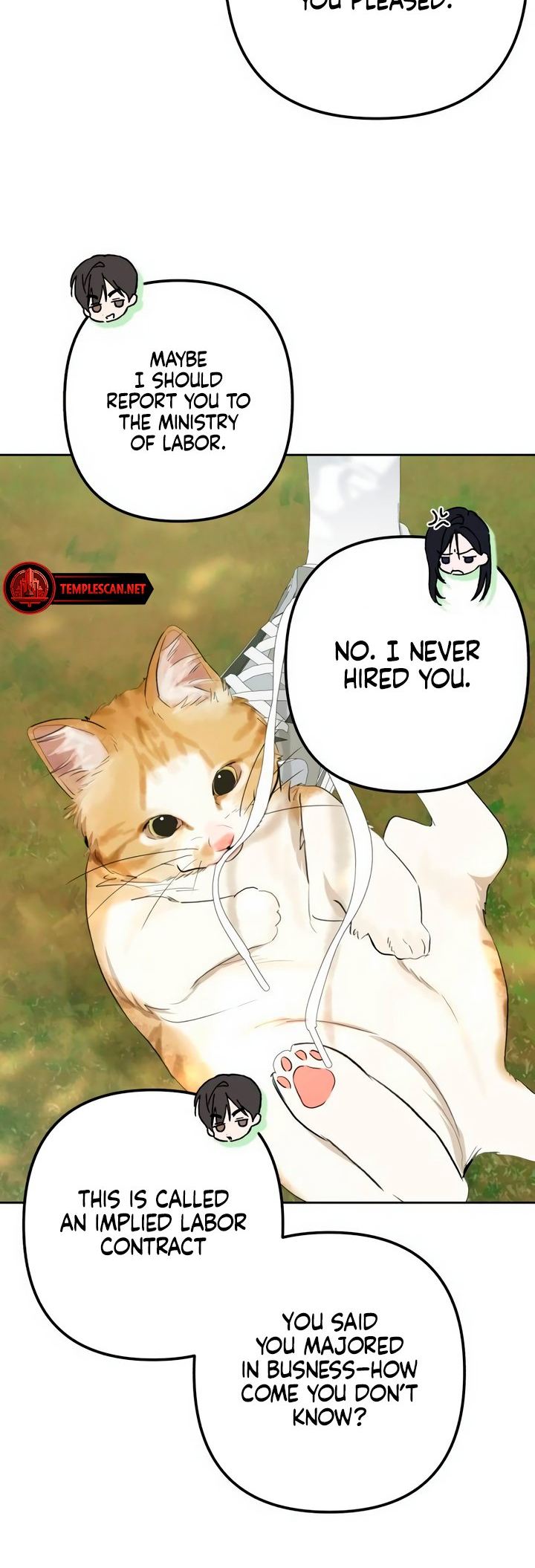 In the Shadow of the Spring Ch. 4 第29页